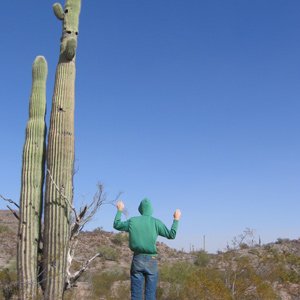 Tripper Dungan